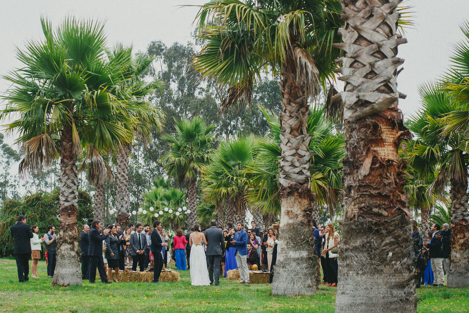 fotografo-matrimonio-fundo-santa-maria-algarrobo-17