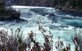 Puerto Varas - Saltos del Petrohué